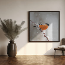 Canvas Art Print Bullfinch in a snowstorm.