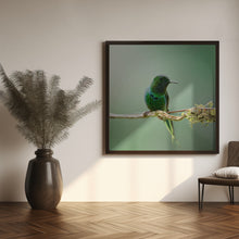 Canvas Art Print Discosura conversii