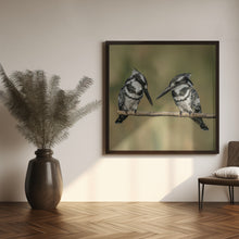 Canvas Art Print Pied kingfishers