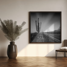 Art Prints of SAGUARO NATIONAL PARK Setting Sun | Monochrome