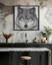 Art Prints of Wolf Portrait