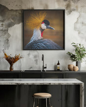 Art Prints of Black crowned crane