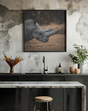 Art Prints of Rhinoceros