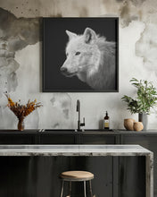 Art Prints of White Wolf #2