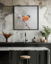 Canvas Art Print Bullfinch in a snowstorm.