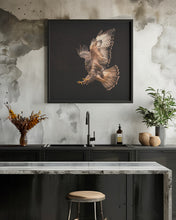 Canvas Art Print Buzzard going for a catch