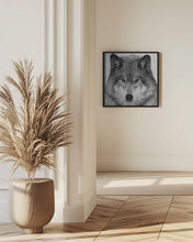 Art Prints of Wolf Portrait