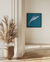 Art Prints of Leaping Salmon