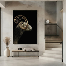 Art Prints of big horn sheep