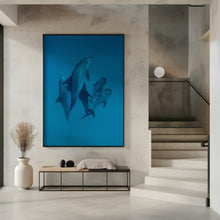 Art Prints of Dolphins 6