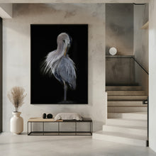 Art Prints of The Elegant Great Blue Heron