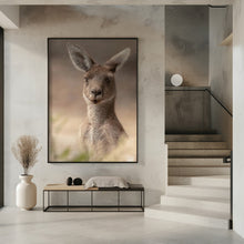 Art Prints of The beautiful Roo