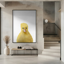 Art Prints of Duck