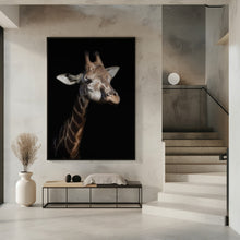 Art Prints of Giraffe in low key