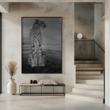 Art Prints of Cheetah on the Watch