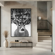 Art Prints of Winter Deer