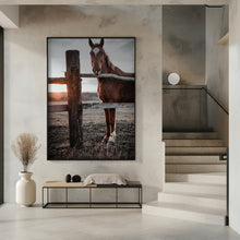 Art Prints of Horse Farm in Skároš, Slovakia