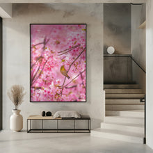 Art Prints of cherry blossoms and bird