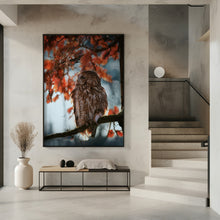 Art Prints of Resting owl with prey