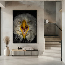 Art Prints of Eagle