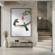 Art Prints of Two hummingbirds at a flower