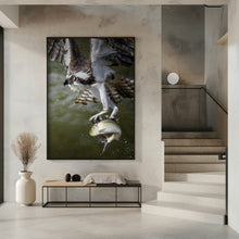 Art Prints of Osprey