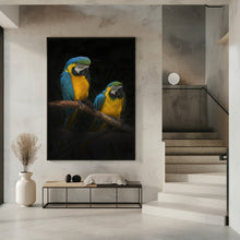 Art Prints of Macaw Parrots