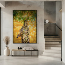 Art Prints of Giraffe at the Zoo