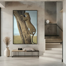 Art Prints of Leopard In Africa