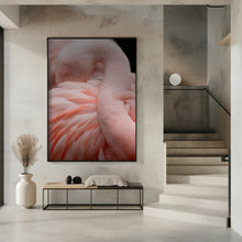 Canvas Art Print Portrait of a Pink Flamingo