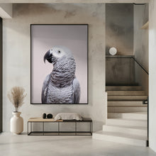 Canvas Art Print African Grey