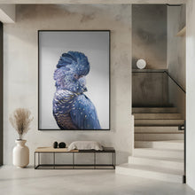 Canvas Art Print Black Cockatoo