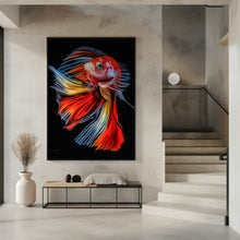 Canvas Art Print Colorful Fish