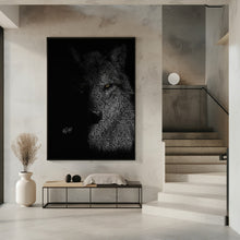 Art Prints of Wolf