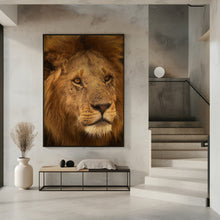 Canvas Art Print The King