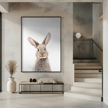 Canvas Art Print Baby Rabbit