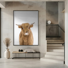 Canvas Art Print Baby Cow