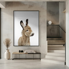 Canvas Art Print Baby Donkey