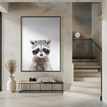 Canvas Art Print Baby Racoon