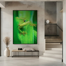 Canvas Art Print Curiosity