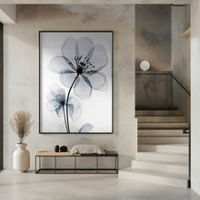 Art Prints of Touch of Grey