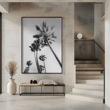 Art Prints of Palm trees in the sun | monochrome