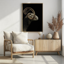 Art Prints of big horn sheep