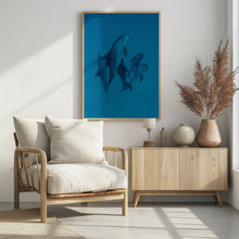 Art Prints of Dolphins 6