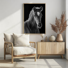 Art Prints of young filly