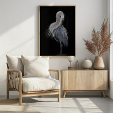 Art Prints of The Elegant Great Blue Heron