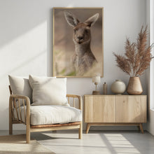 Art Prints of The beautiful Roo