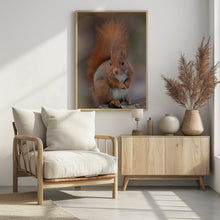 Art Prints of Squirrel