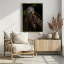 Art Prints of Watchful