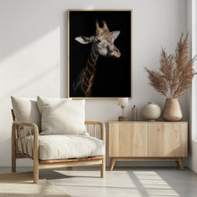 Art Prints of Giraffe in low key